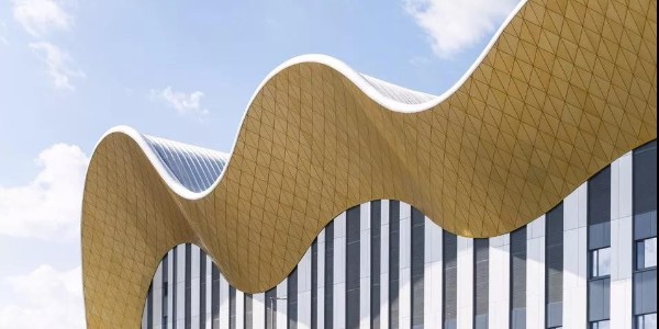 所有圖紙合成一個(gè)“超模型”，莫斯科藝術(shù)體操中心設(shè)計(jì)BIM解析