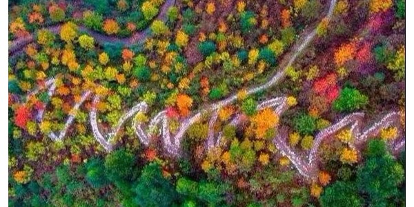 鄉(xiāng)村振興需避免這15個(gè)雷區(qū)！