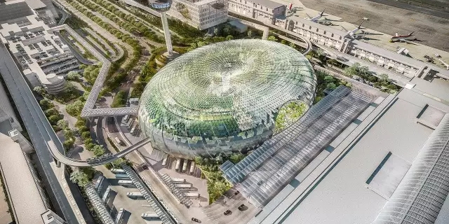 在飛機場里造了個森林，從此再也不怕飛機晚點~