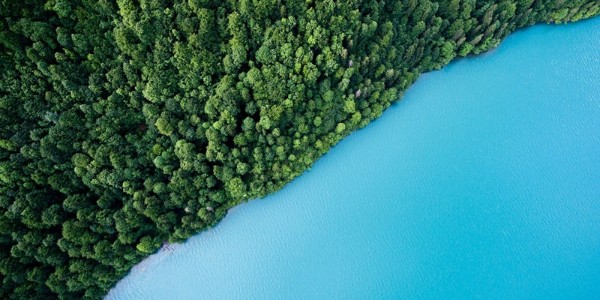 02|碳中和的機(jī)遇在哪？