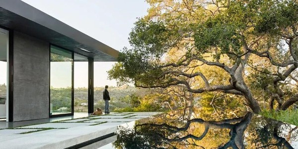 會種樹，讓設計具有高級感！