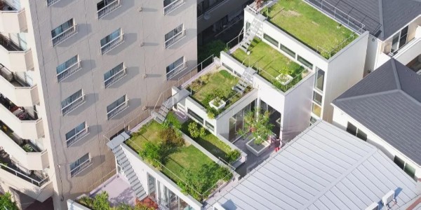 創(chuàng)造‘綠色’，東京層疊花園宅 / MAMM DESIGN