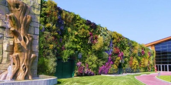 驚艷極了，還能這樣做綠化？